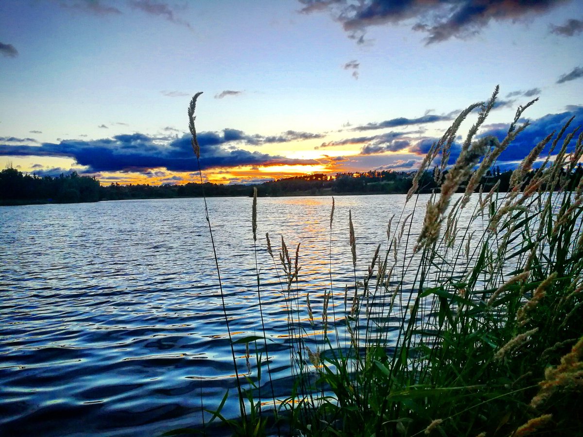 MarieMatusu's tweet photo. Západ u rybníku Rathan... #photography #photographer #amateurphotography #NaturePhotography #vysocina #iliveinvysocina #sunsetphotography https://t.co/7QEDwtfnyI