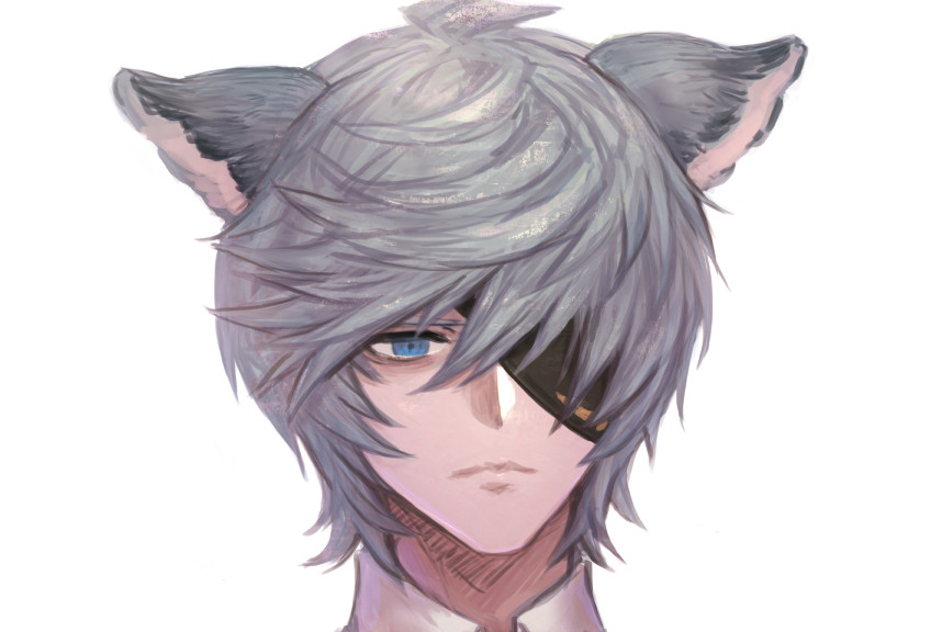 1boy animal ears male focus erune blue eyes solo eyepatch  illustration images