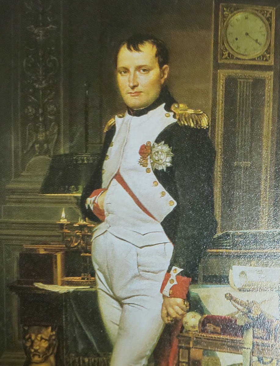 アラライ ナポレオン3世 シャルル ルイ ナポレオン ボナパルト ナポレオン ボナパルトの甥 弟の子 2世はナポレオンの実子 ナポレオン フランソワ シャルル ジョゼフ 一瞬だけ名目上帝位に 母は神聖ローマ帝国皇女 父を10歳で亡くし 母親から