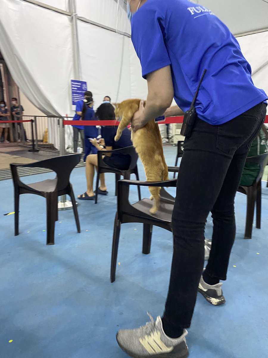 ohohwaihong's tweet image. so this ket came to join the line for covid-19 vaccine jab but he got his ass hauled out shortly 🥺🥺🤣🤣😍😍 SO KEWT!!!!!