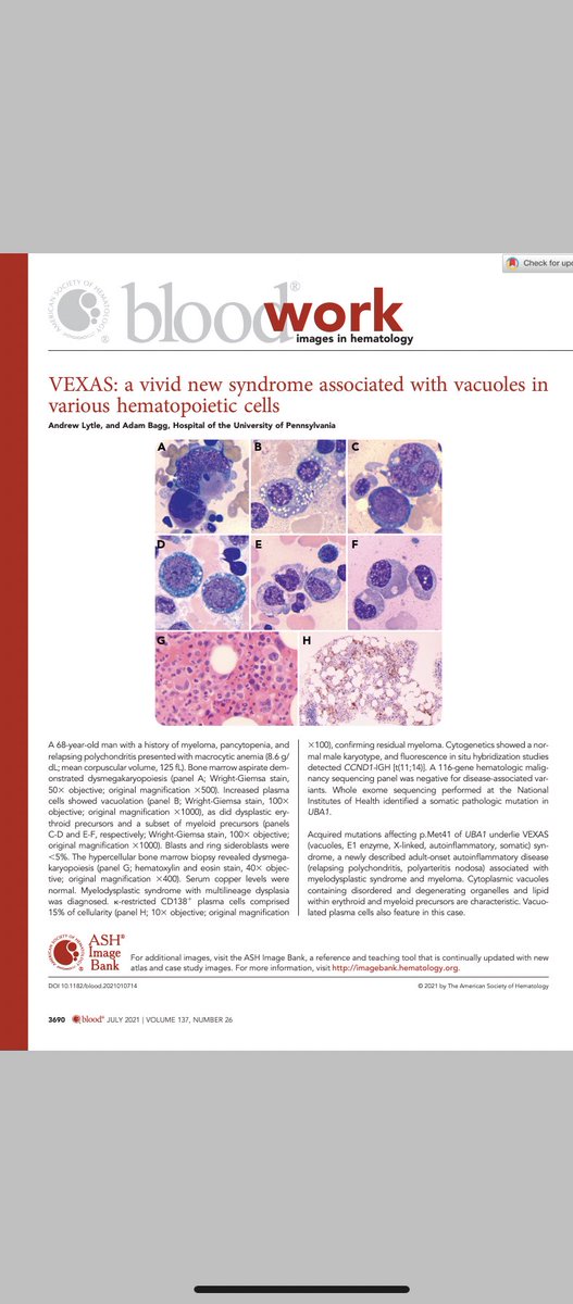 aequanimitasmd's tweet photo. #hematology #rheumatology https://t.co/tHsw3Y9z8T