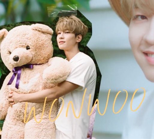 incorrectwonboo's tweet image. Wonwoo hugging Seungkwan 🥺🐻