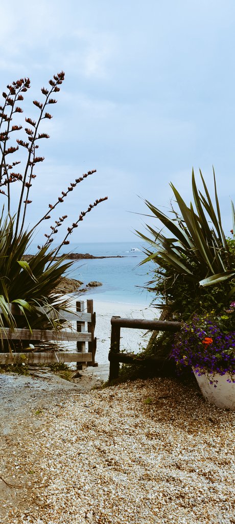 Thepennyrollson's tweet photo. A great day to be on the beautiful Island of #Herm in the #BailiwickofGuernsey 
#ChannelIslands
A place to return to when my walk is over 

So very peaceful @Herm
@GuernseyWander

£87000 raised for @AlzResearchUK https://t.co/IwGjWqdAsm