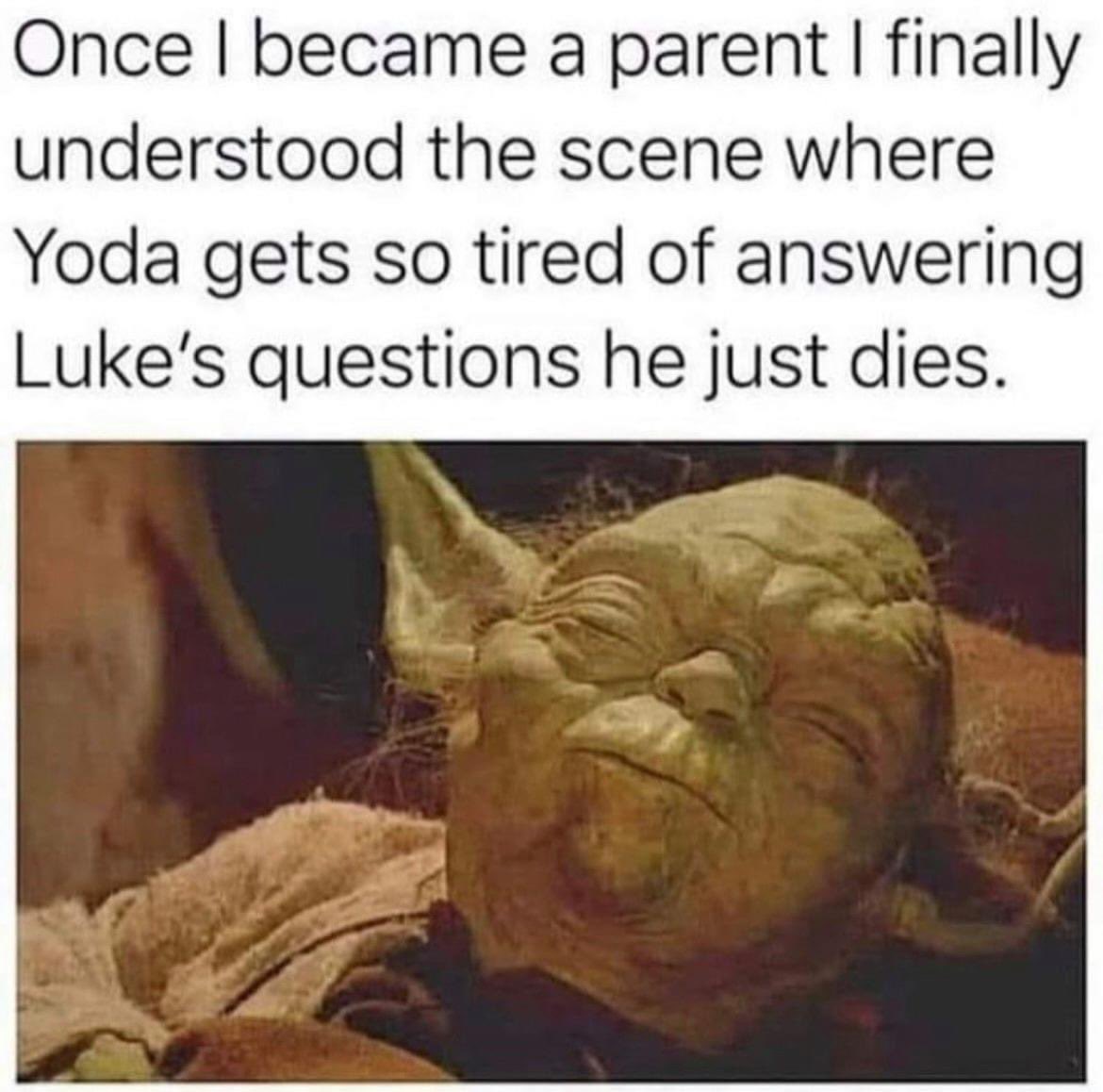 RMTTrivia's tweet image. 