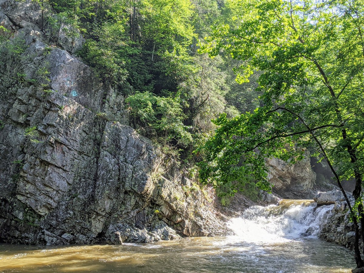 playingwithdata's tweet photo. #Bikepacking - where you festoon your bike with camping gear, grab a #map, and head into the woods for the night. Good trip into the @USFSRegion8 #Cherokee #NationalForest on the NC/TN line. #FrenchBroad river valley is a good place to find yourself. https://t.co/TZCPKsIURv