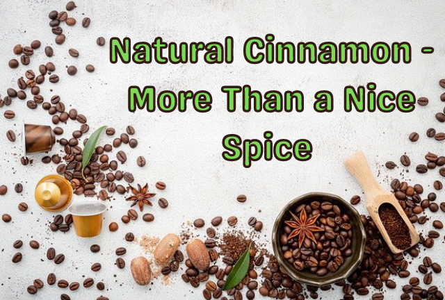 IamReetzz's tweet photo. I just published Natural Cinnamon — More Than a Nice Spice https://t.co/qezAxqYSBS https://t.co/pGzjQjqmWd