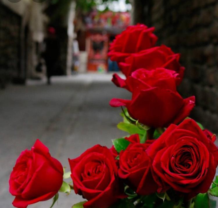 ♡

 _يا رب .. في هذه المساء إمنحنا  أكاليلًا من الراحة والهدوء وانثر السعادة على أبواب قلوبنا وطوقنا بالأمان والسكينة💛🕊_مساءالخير