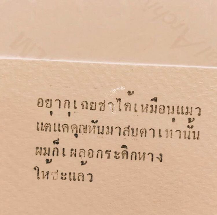 𝙔𝙊𝙍𝘾𝙃. (@itsmeyorch5) on Twitter photo 