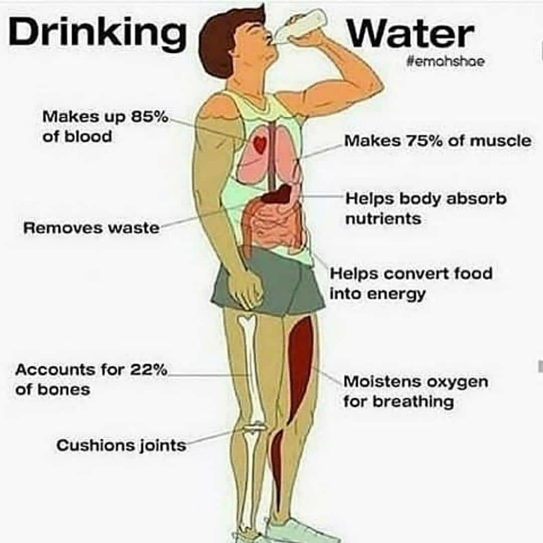How much water you drink daily? #HealthIsWealth #waterislive #life @MoHFW_INDIA @HealthMedicalE1 @tipstotrain @WHO @jandkheadlines @jmcjammu