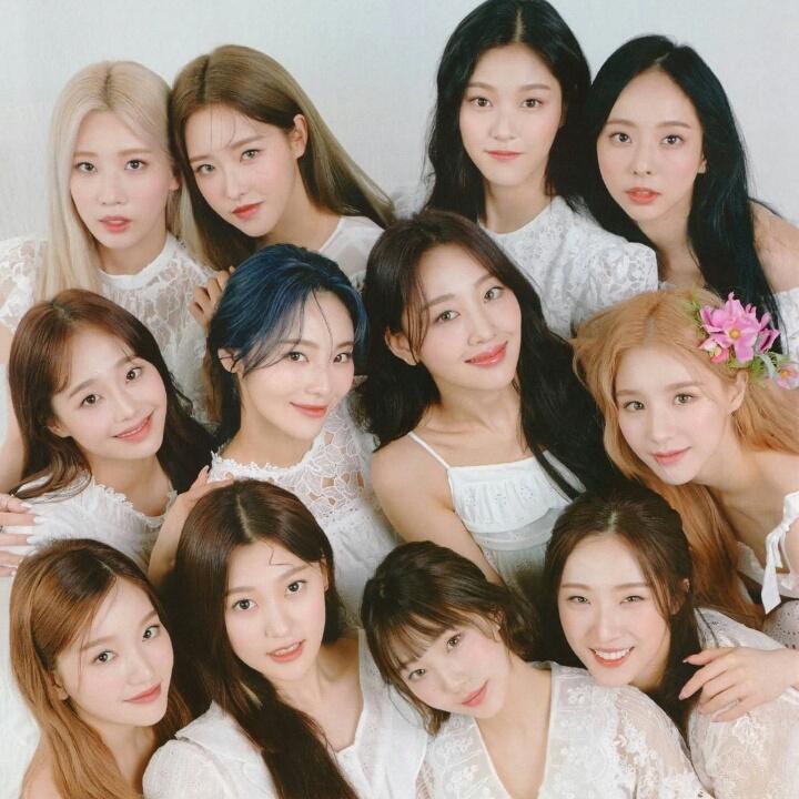 LOONAHYPEN's tweet photo. #LOONA #ENHYPEN https://t.co/hKWFlxufbh