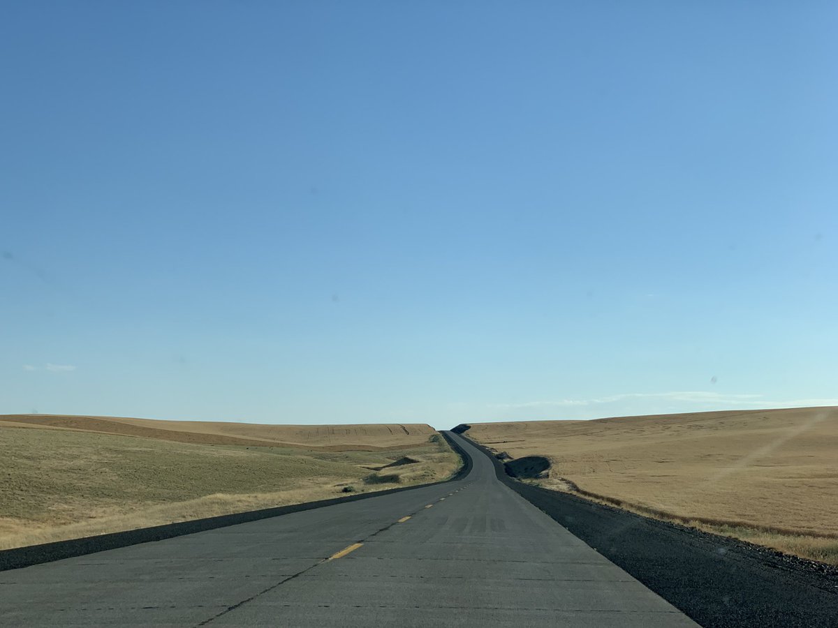 Wonder where have I been the whole time not active on Instagram with tea post? ☺️
.
I am doing my first proper road trip in US. 🚘 SEA> Walla Walla> Bend > Medford > (still deciding..) 

Will be back sharing tea stuff when I settle again🍵💚
.
#roadtrip #washingtonstate #oregon