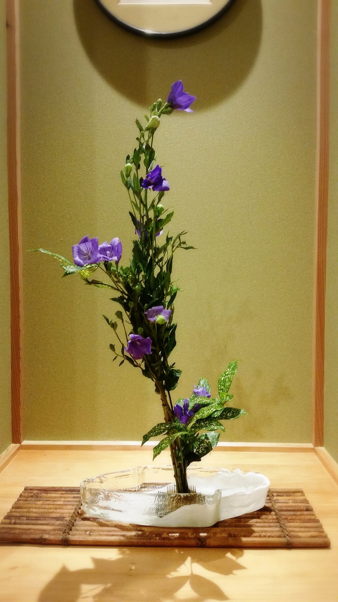 いけばな松月古流 7月の研究会 桔梗 がメインの研究会でした 6月頃から秋まで咲く続ける花で日本でも古くから親しまれているようです 星形の清々しい青紫色の花と風船の様なツボミが可愛らしい草花 材料が豊富にありましてので 生花 投げ入れにしてみ