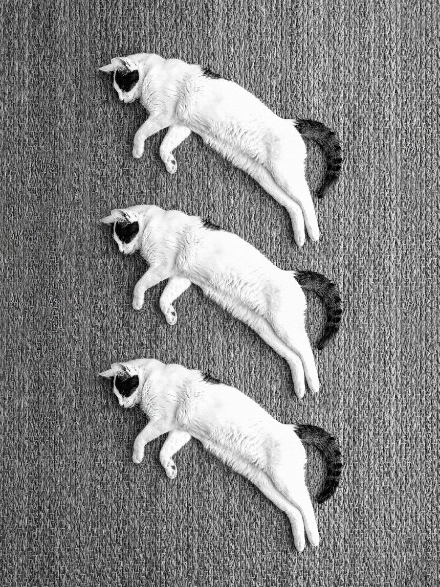 OliverSoho's tweet photo. #ThreeLions #Euro2020Final https://t.co/6WzINfHBQm