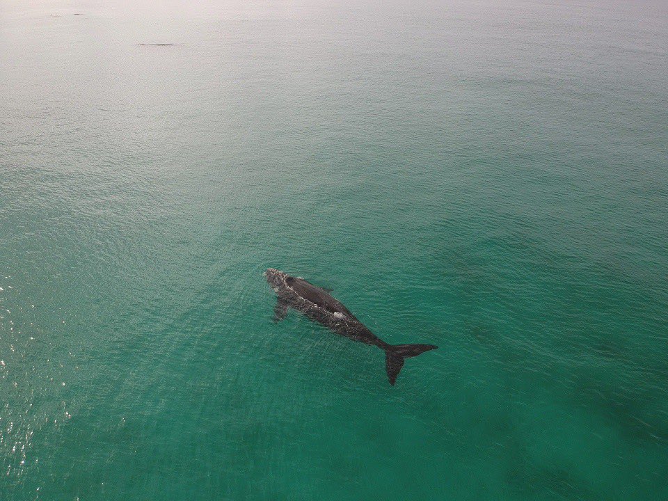 Justin Germain tweet media