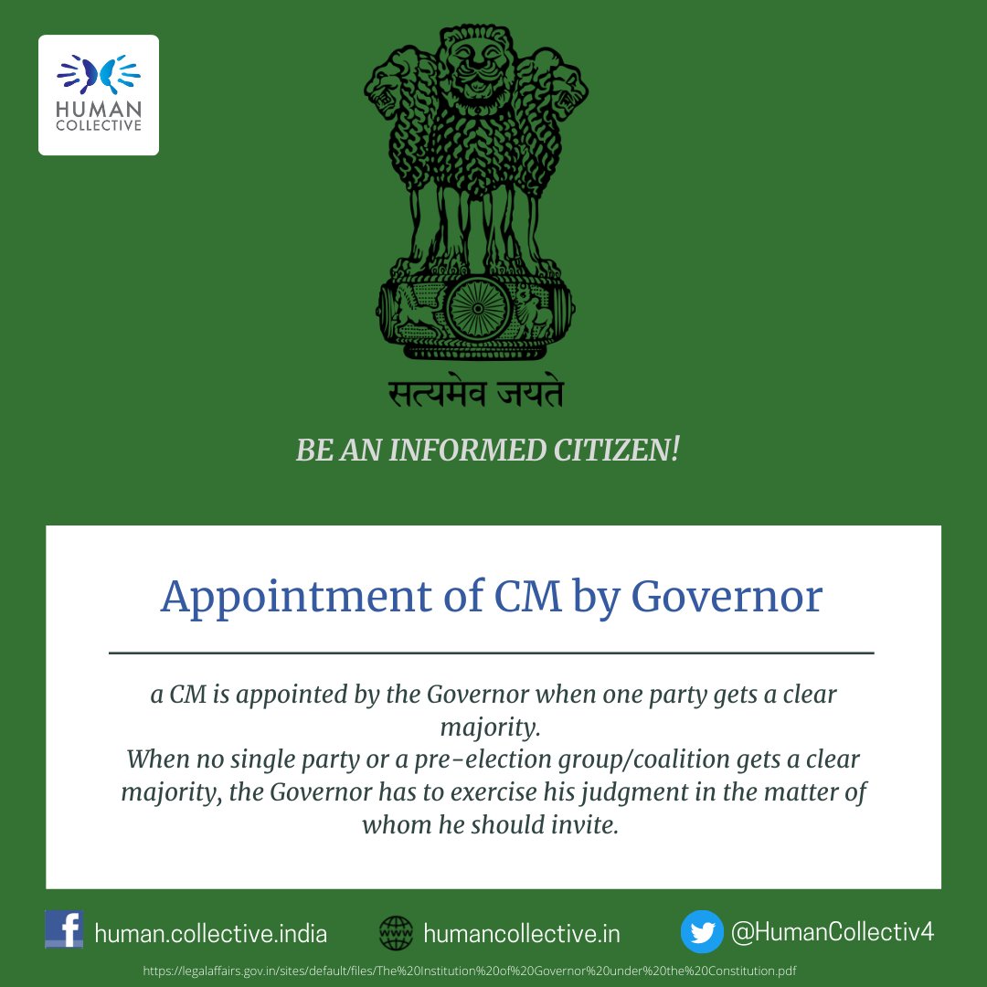 Human Collective tweet media