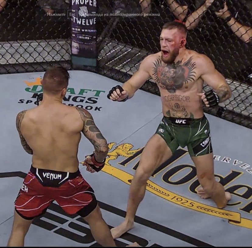 thetaking1's tweet photo. @TheNotoriousMMA @DKSportsbook https://t.co/UNzuaKWeSO