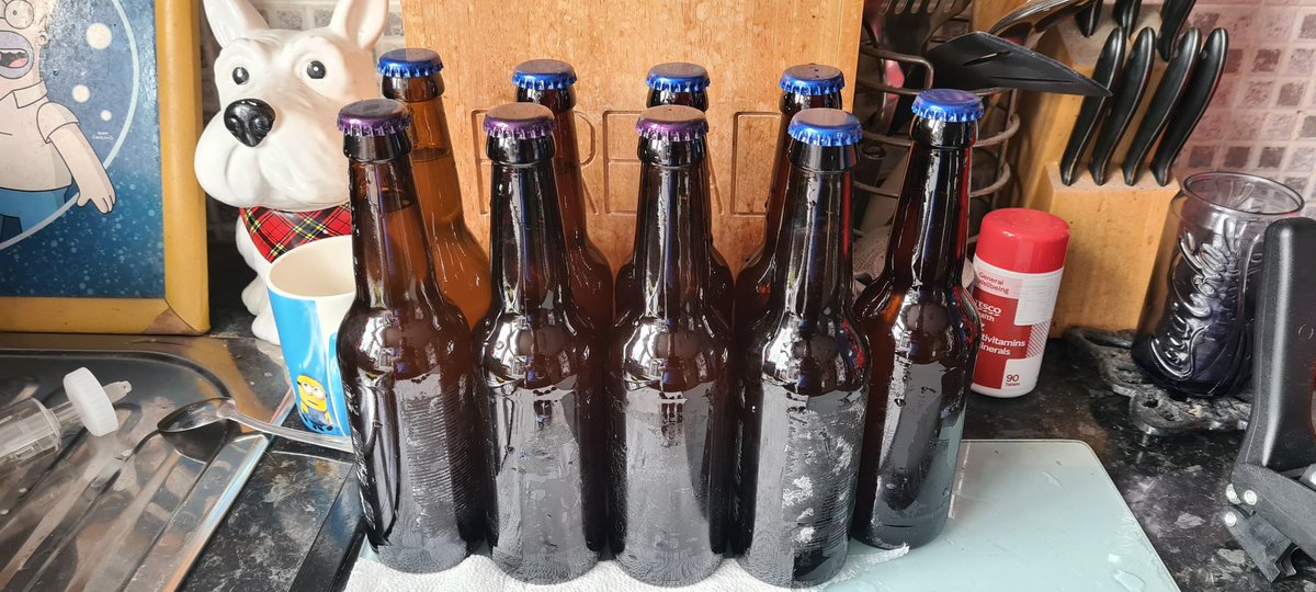 PunkAssBeer1's tweet photo. Bottled up "One Hop: Opus" today. 9 bottles from this small batch, 5.3%abv single hop IPA. Looking and smelling amazing! Looking forward to trying this...
#beer #homebrew https://t.co/kO5HJFBWpq