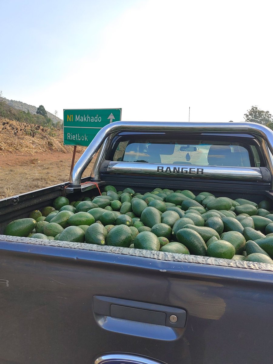 Mantehunadi's tweet image. Just got back from Venda with avocados 😊 R50 for 8. I parked at Riverside view now
#GautengShutdown #FamilyMeeting Sandton #level5