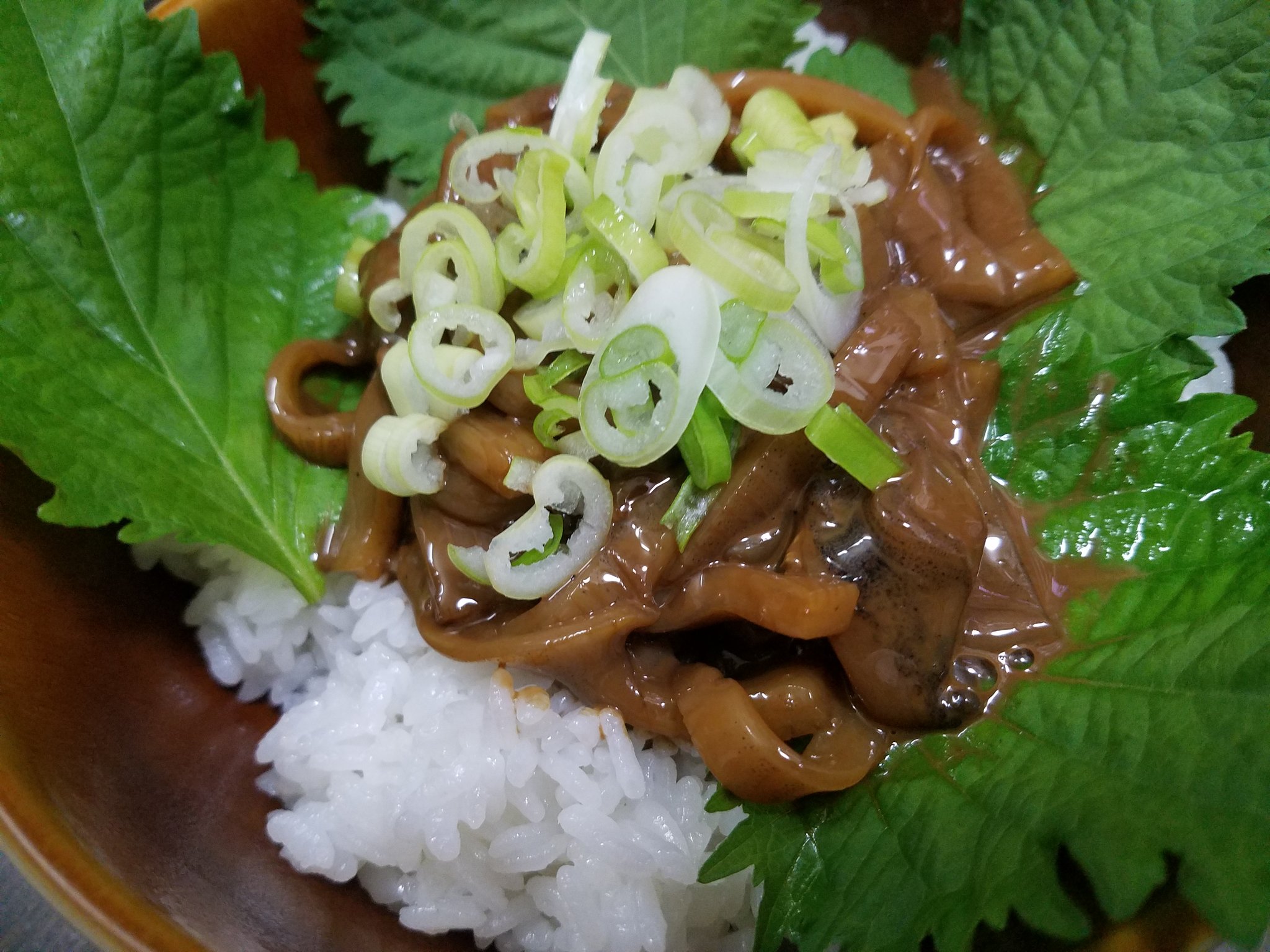 でぇ吟醸白田 禁酒一週間チャレンジ最終日 明日からお酒解禁 呑むのすんげぇ楽しみ ありがたみmax 即席イカの塩辛丼を作った イカ肝は塩漬けしてルイベにしてたもの 売ってる塩辛より自家製が一番ウマイ 明日呑めるぅー どんぶり 禁酒