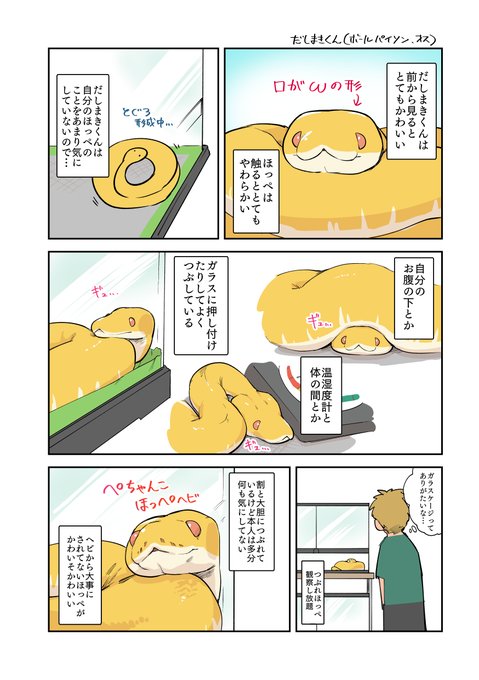 Twoucan ボールパイソン の注目ツイート イラスト マンガ Twoucan ボールパイソン の注目ツイート イラスト マンガ