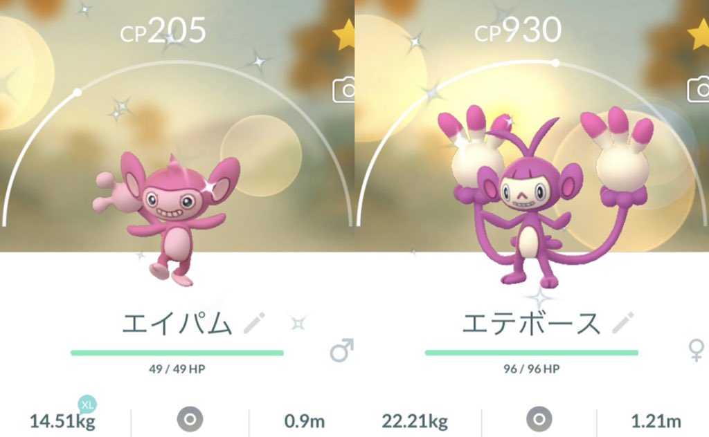 Twitter 上的 レタス エイパムの色違いキターー 2匹目の色違いなのでエテボースに進化 ぱっと見 分かりにくいけど 赤みがかった紫イイネ ポケモンgo 色違い T Co O03wstjtvn Twitter Twitter 上的 レタス エイパムの色違いキターー 2匹目の色違いなのでエテボースに進化 ぱっと見 分かりにくいけど 赤みがかった紫イイネ ポケモンgo 色違い T Co O03wstjtvn Twitter
