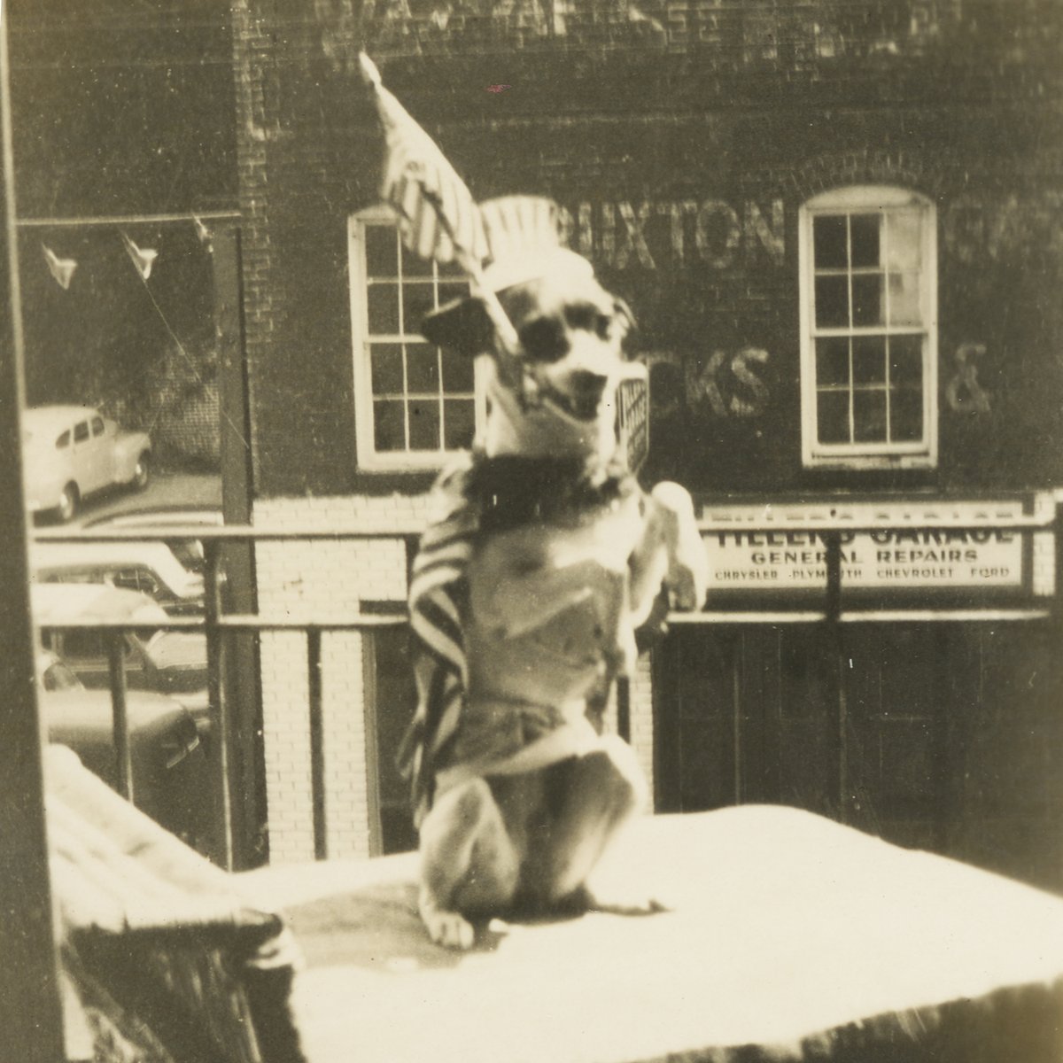 HistoryCenterFL's tweet photo. Happy #All-AmericanPetPhotoDay from Pinkey! A patriotic fox terrier born on the Fourth of July, Pinkey was well known for her Uncle Sam costume urging people to buy war bonds in Orlando during World War II. #OrlandoHistory #DogsofHistory https://t.co/8KeC3COfzv