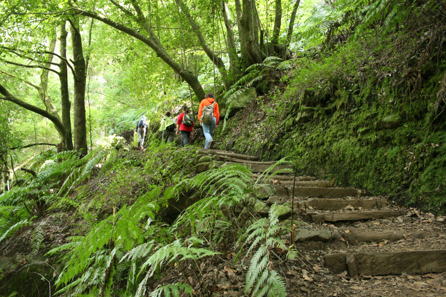 Spain in Switzerland on Twitter: "#KönnenSie sich vorstellen, in einer ...