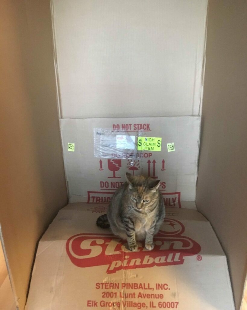 STPinball's tweet photo. Yesterday was the 2 year anniversary of my first NIB (Deadpool Premium) Guess I don’t just like old games. Still have it and don’t see it leaving anytime soon. The cat stays too. #deadpool #pinball #sternpinball #catsonpins #catsofinstagram #highclaimitem https://t.co/v2oltwkFRd