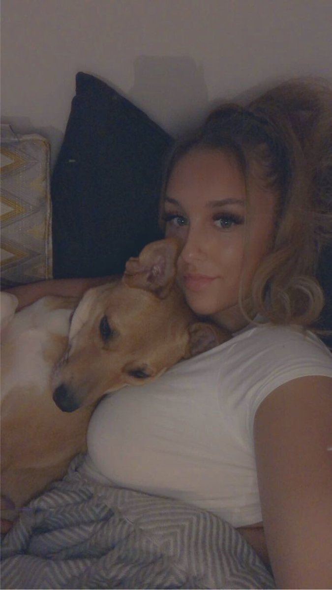 theFITTinvestor's tweet photo. My lil MaisieMoo who is going to benefit so much when we take off🚀 #AMCdogs https://t.co/d3CHNXqceg