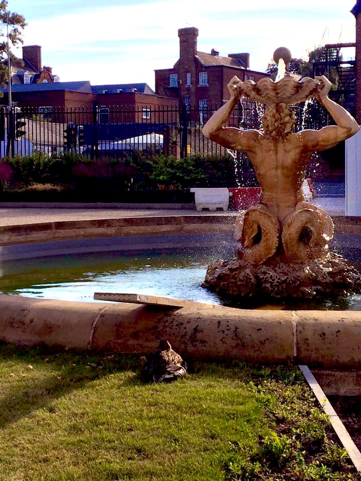Guinnessisgd4u's tweet photo. 7 years ago, a mummy #duck brought her #ducklings to the #Triton #Fountain at the #Radcliffe #Humanities - it was one of the best times at work. You can see the scaffold board that a lovely colleague put in the water so the ducklings could get in &amp; out @OxQuackademics https://t.co/acEVpFSKng