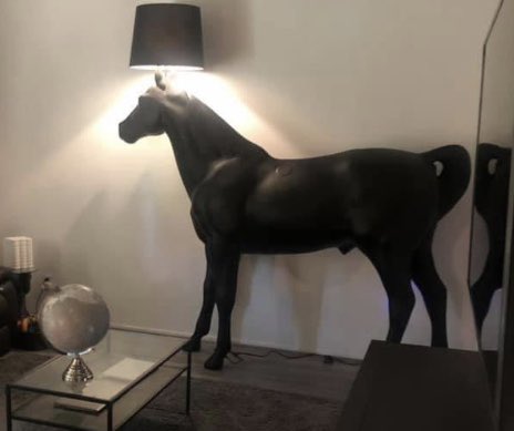 ACamanelli's tweet photo. Good morning & happy Sunday! Mr. Ed was the last piece of furniture needed. Everybody needs a full size horse π
#SuperSunday
#CowboyTony https://t.co/VjEs0R2vfH