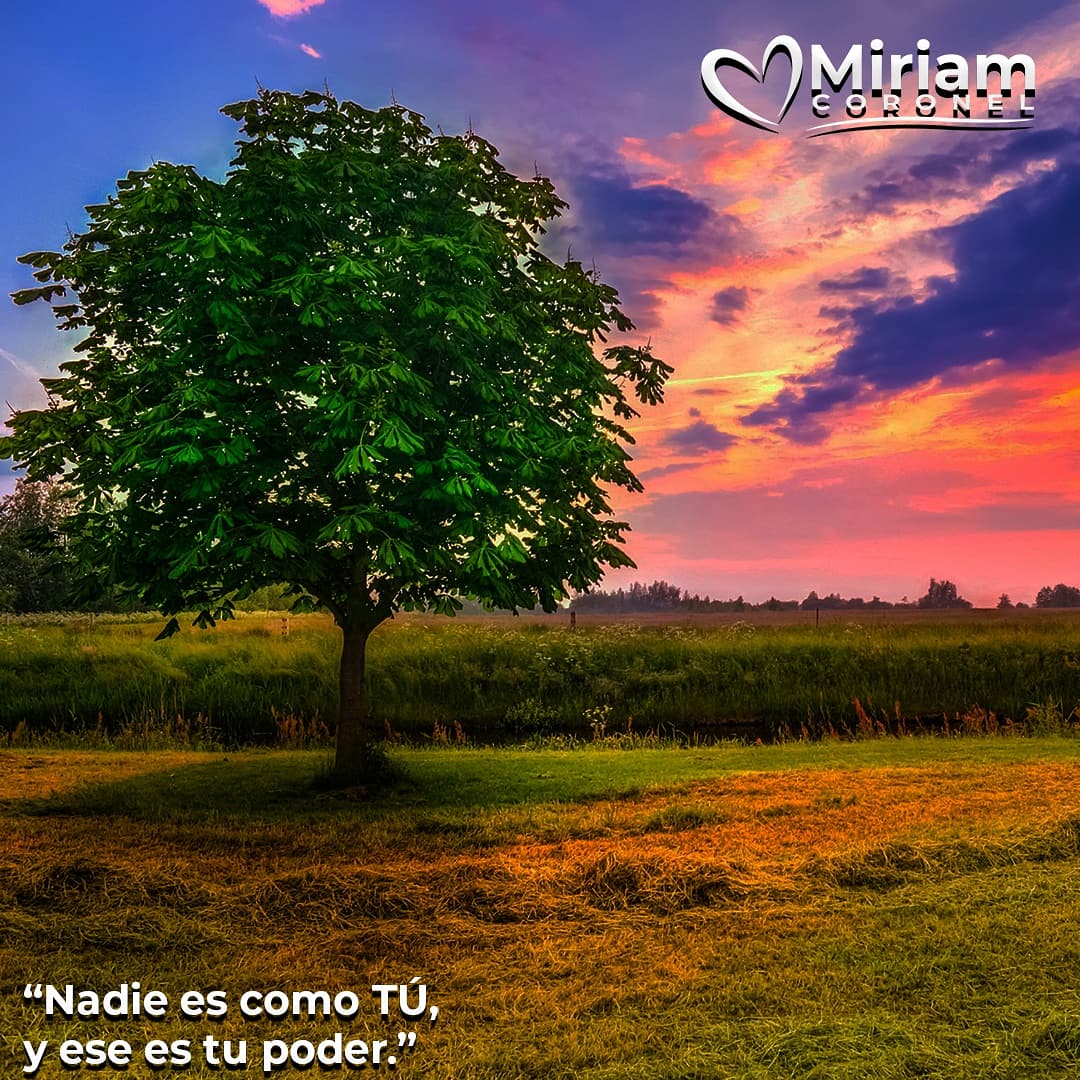 MiriamCoronelM's tweet photo. Muy buenos días, excelente domingo familiar 🌹🥰❣️ https://t.co/S00Gjguvp7