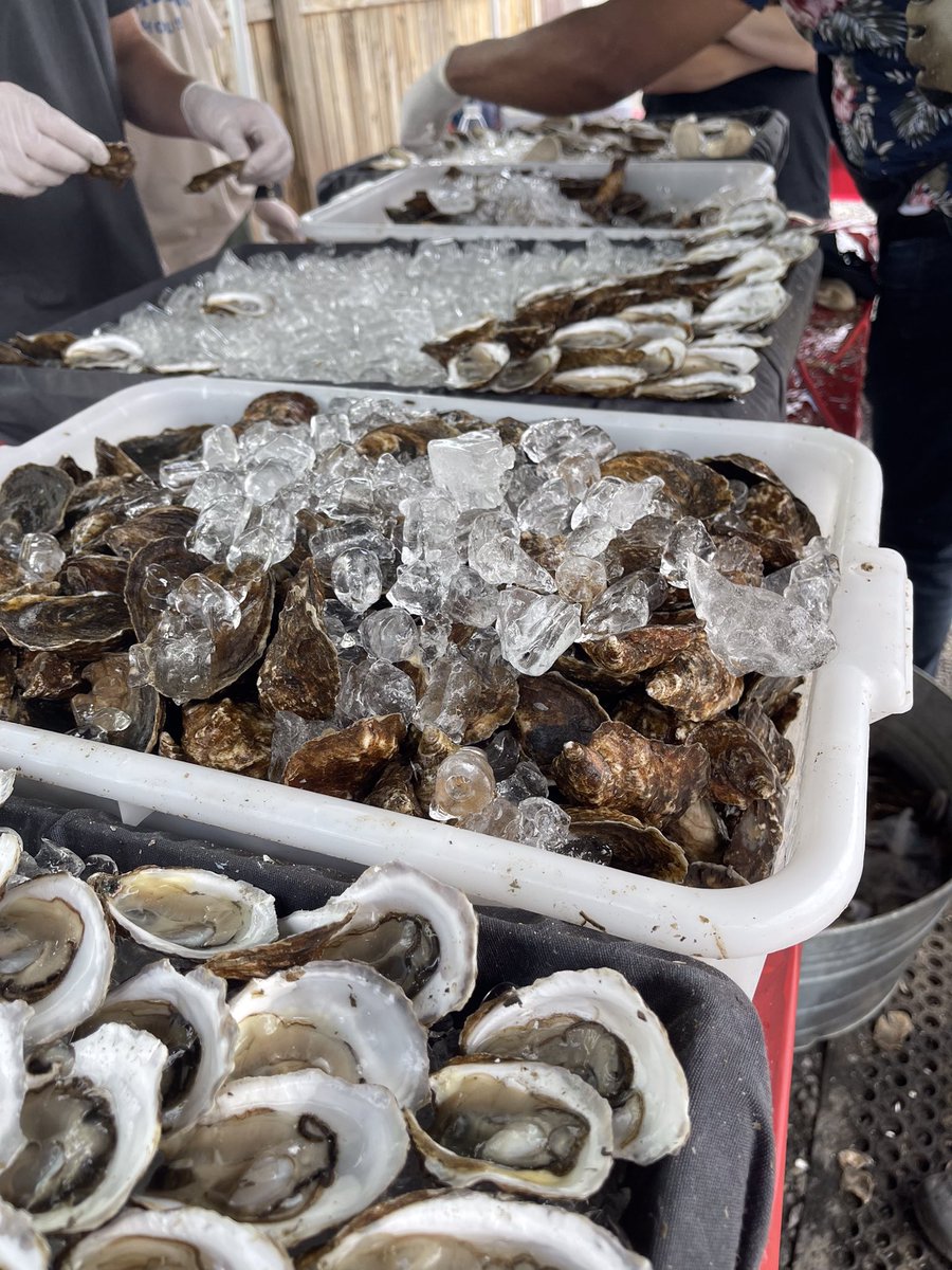 Join us for #Oysterfest today in the Biergarten! 11-5 or until we run out!
#oysterlovers #518eats #518foodies #518events #oystersinthehalfshell #capitalregion #capitalregionny #capitaldistrict #capitalregionny #altamontny #voorheesville #upstateny #upstateevents #oysters