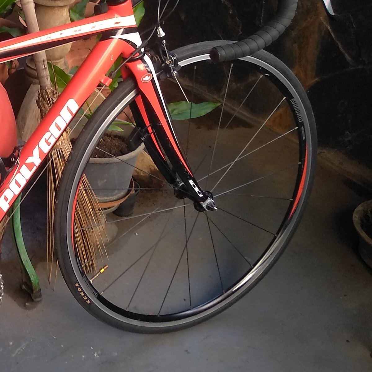 ditolksn's tweet photo. wts
wheelset front shimano wh-r500
good condition 
800k
lokasi bekasi
https://t.co/TLMMMjCF7Z
#frfjb #fnfjb  #jualroadbike @fnfjb @fix_fixed @fixpart16 @fixieaks @fRBjb https://t.co/i9yeiVCqez