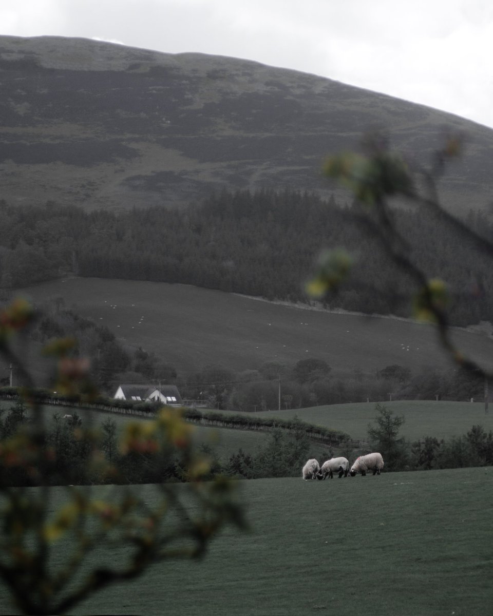 Roadside in Scotland 

#Scotland #scotlandphotography #landscapephotography #moodyvibes #moodyphotography #instamood