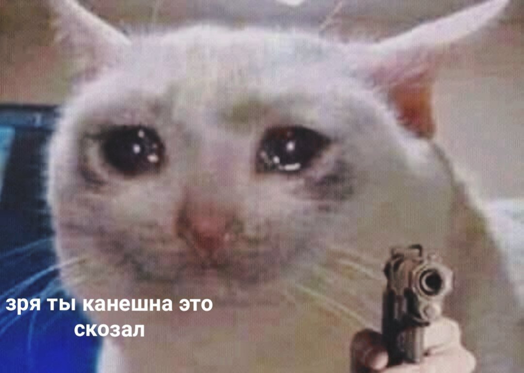 vlada_100's tweet photo. @YD01647980 Воу воу воу, родители тут лишние, я смотрю тебя хорошо воспитали, раз пишешь такие оскорбительные слова https://t.co/GrZClrInie