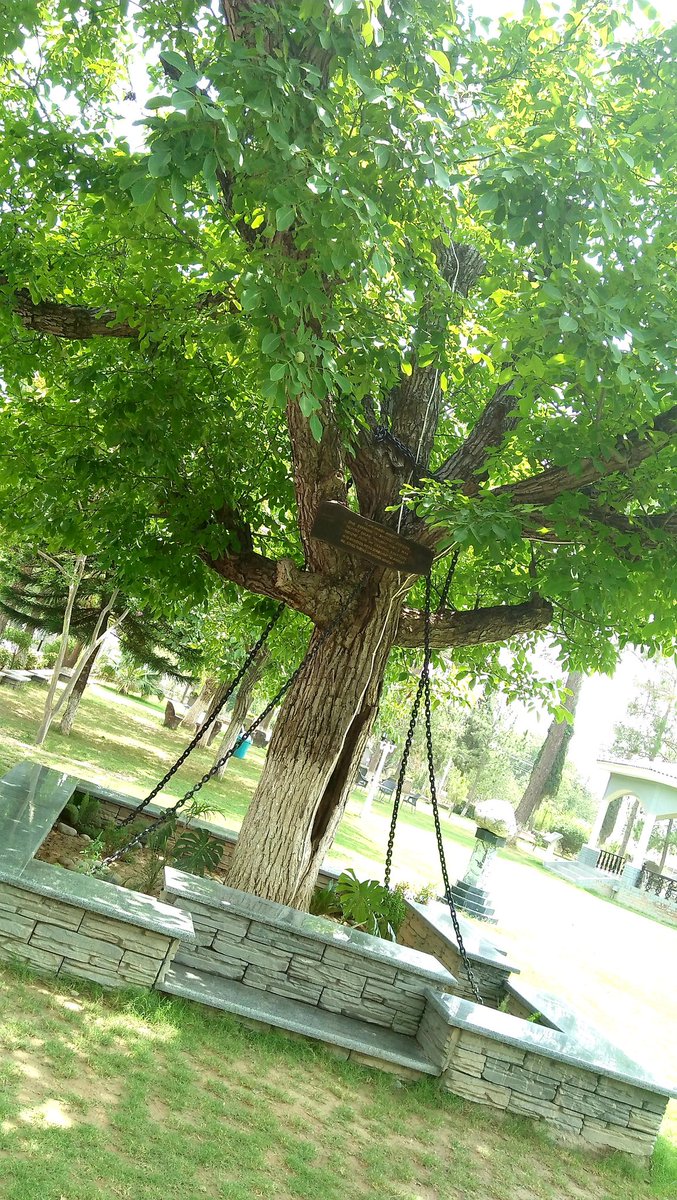 SaimaRahat_'s tweet photo. "I'm under arrest"...
#ChainedTree
#KhyberRiflesMess_LandiKotal https://t.co/yZwzzv7qtW