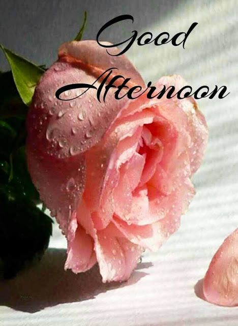 Elisa Arana (@elisaelisa110) on Twitter photo <a href="/Antonio88404992/">🗽Anthony🗽</a> 😘
@keke201707
<a href="/sasazhuang/">Tarzan 比華利畫廊</a>
<a href="/cZi1L8wnSud2jaU/">❀凛サブ垢3❀</a>
<a href="/Doris92480061/">Doris ▪🌱🌸🌱</a>
<a href="/MariadeliaSofia/">Sofia</a>
<a href="/MistressTepco/">꧁スカーレット緋色꧂36K🦩</a>
<a href="/shinunao2/">naonao shakura🌸🌸🌸</a>
<a href="/PkhrPiacVrB1FtS/">カナリヤ</a>
<a href="/sherry51779/">Princess Sherry💋</a>
@StarMarhinaa
@QueenKardesler
<a href="/WafaZahra44/">Wafa Zahra</a>
<a href="/Sun_Flower119/">葵ちゃん 通知不具合中</a>
<a href="/ai0912good7/">★あいめろ☆</a>
<a href="/ElisaElisa110/">Elisa Arana</a>
<a href="/Shumona13/">Shumona</a>
<a href="/veronica_rez/">RezVeronica</a> <a href="/Antonio88404992/">🗽Anthony🗽</a> 😘
@keke201707
<a href="/sasazhuang/">Tarzan 比華利畫廊</a>
<a href="/cZi1L8wnSud2jaU/">❀凛サブ垢3❀</a>
<a href="/Doris92480061/">Doris ▪🌱🌸🌱</a>
<a href="/MariadeliaSofia/">Sofia</a>
<a href="/MistressTepco/">꧁スカーレット緋色꧂36K🦩</a>
<a href="/shinunao2/">naonao shakura🌸🌸🌸</a>
<a href="/PkhrPiacVrB1FtS/">カナリヤ</a>
<a href="/sherry51779/">Princess Sherry💋</a>
@StarMarhinaa
@QueenKardesler
<a href="/WafaZahra44/">Wafa Zahra</a>
<a href="/Sun_Flower119/">葵ちゃん 通知不具合中</a>
<a href="/ai0912good7/">★あいめろ☆</a>
<a href="/ElisaElisa110/">Elisa Arana</a>
<a href="/Shumona13/">Shumona</a>
<a href="/veronica_rez/">RezVeronica</a>