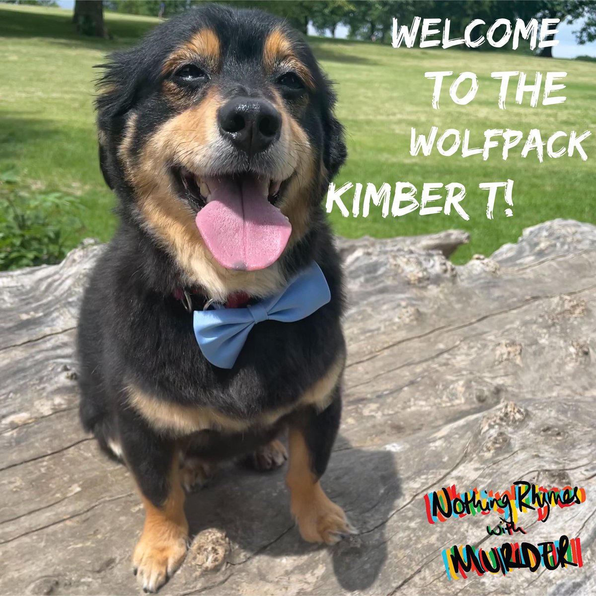 NRWMpodcast's tweet photo. Howl out to 2 of our wonderful $2+ patrons this week!

Kimber T.
Ali T.

Welcome to the Wolf Pack 🐶❤️ 
.
.
.
.
.
.
#nrwm #exceptherder #andalsogirder #joeyswolfpack #patreon #proseccopals #murderpaturders #truecrime #travel #podcast https://t.co/gcjaChpian