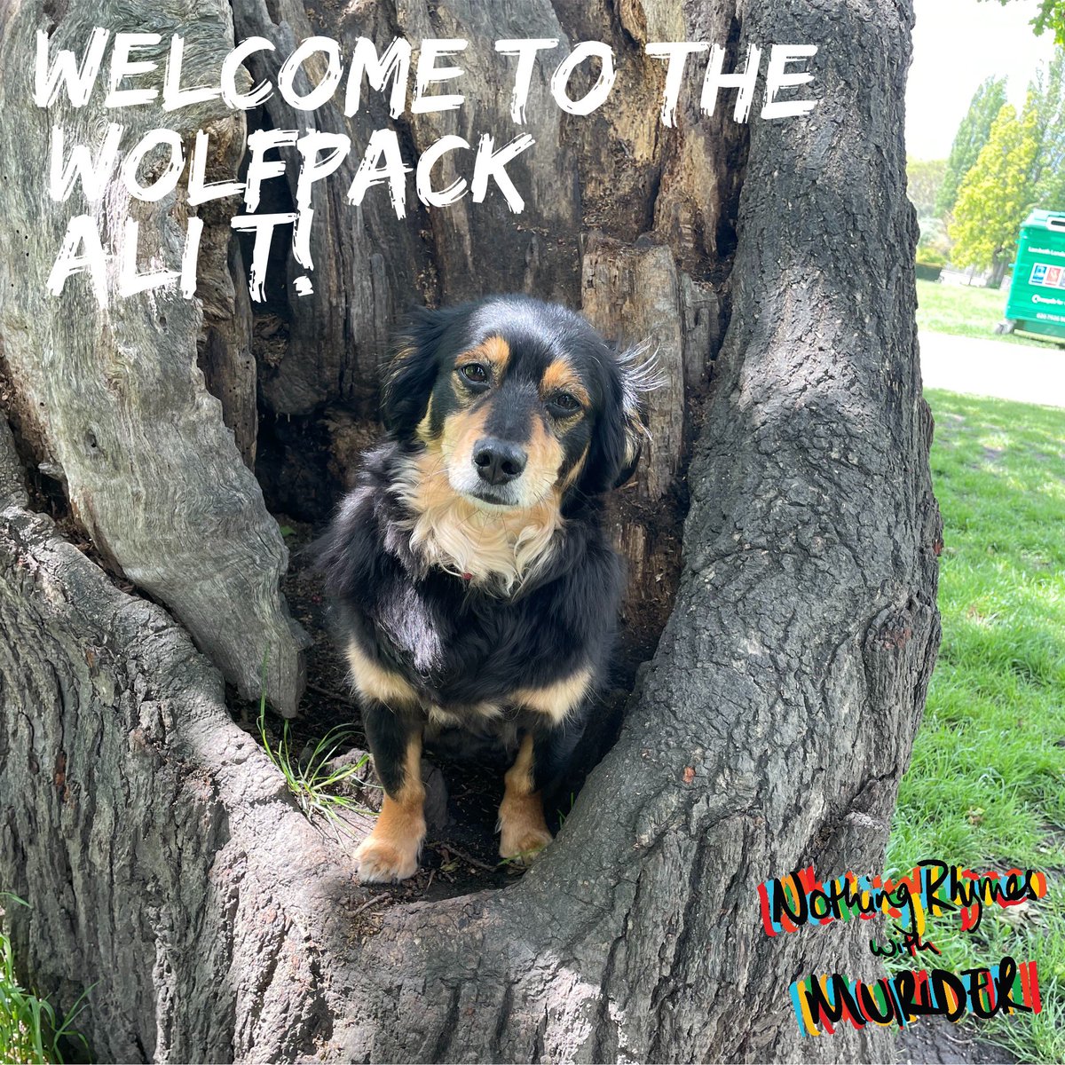 Howl out to 2 of our wonderful $2+ patrons this week!

Kimber T.
Ali T.

Welcome to the Wolf Pack 🐶❤️ 
.
.
.
.
.
.
#nrwm #exceptherder #andalsogirder #joeyswolfpack #patreon #proseccopals #murderpaturders #truecrime #travel #podcast