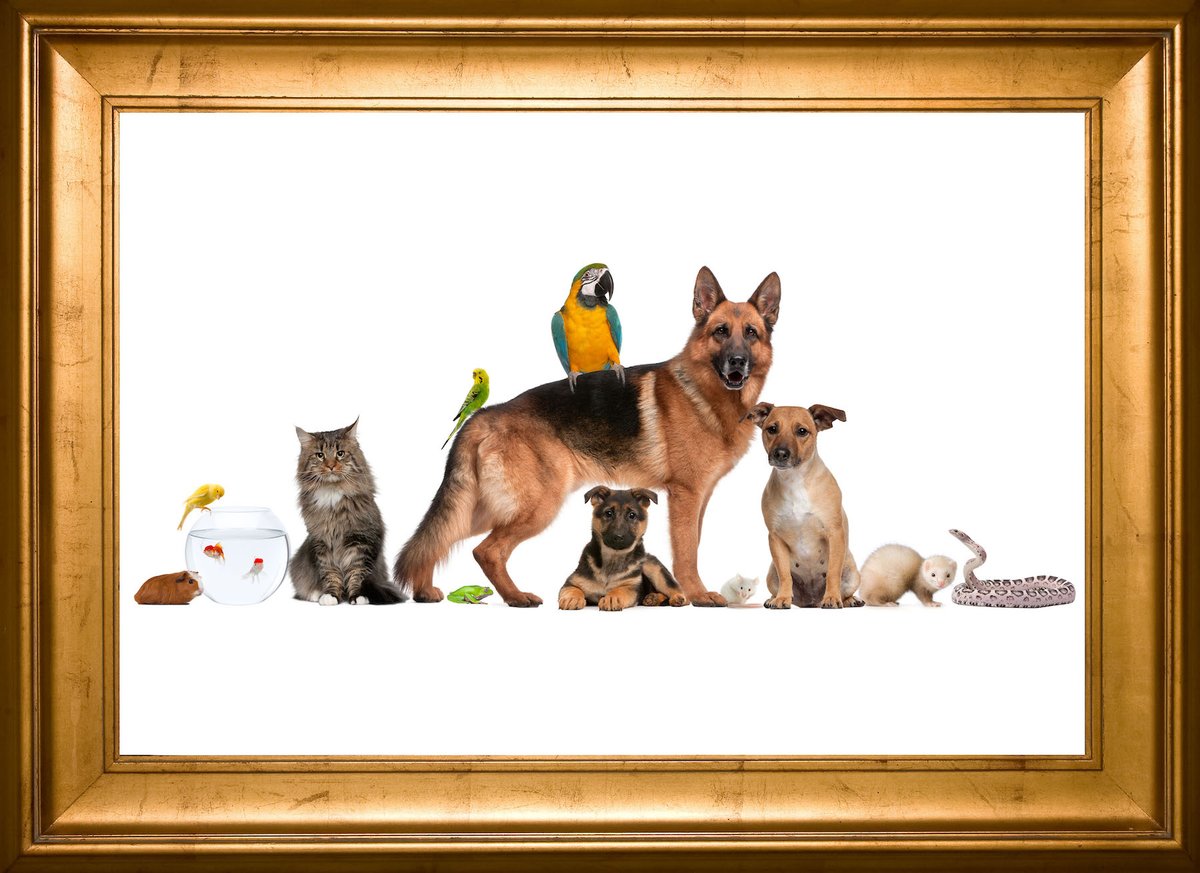 SallieBHowardSchool tweet media