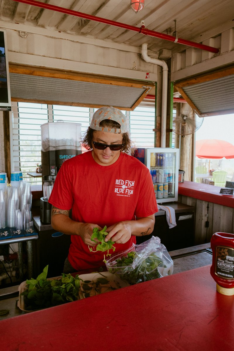 Happy National Mojito Day! We have fresh mint behind the bar and would love to serve up a cold one!