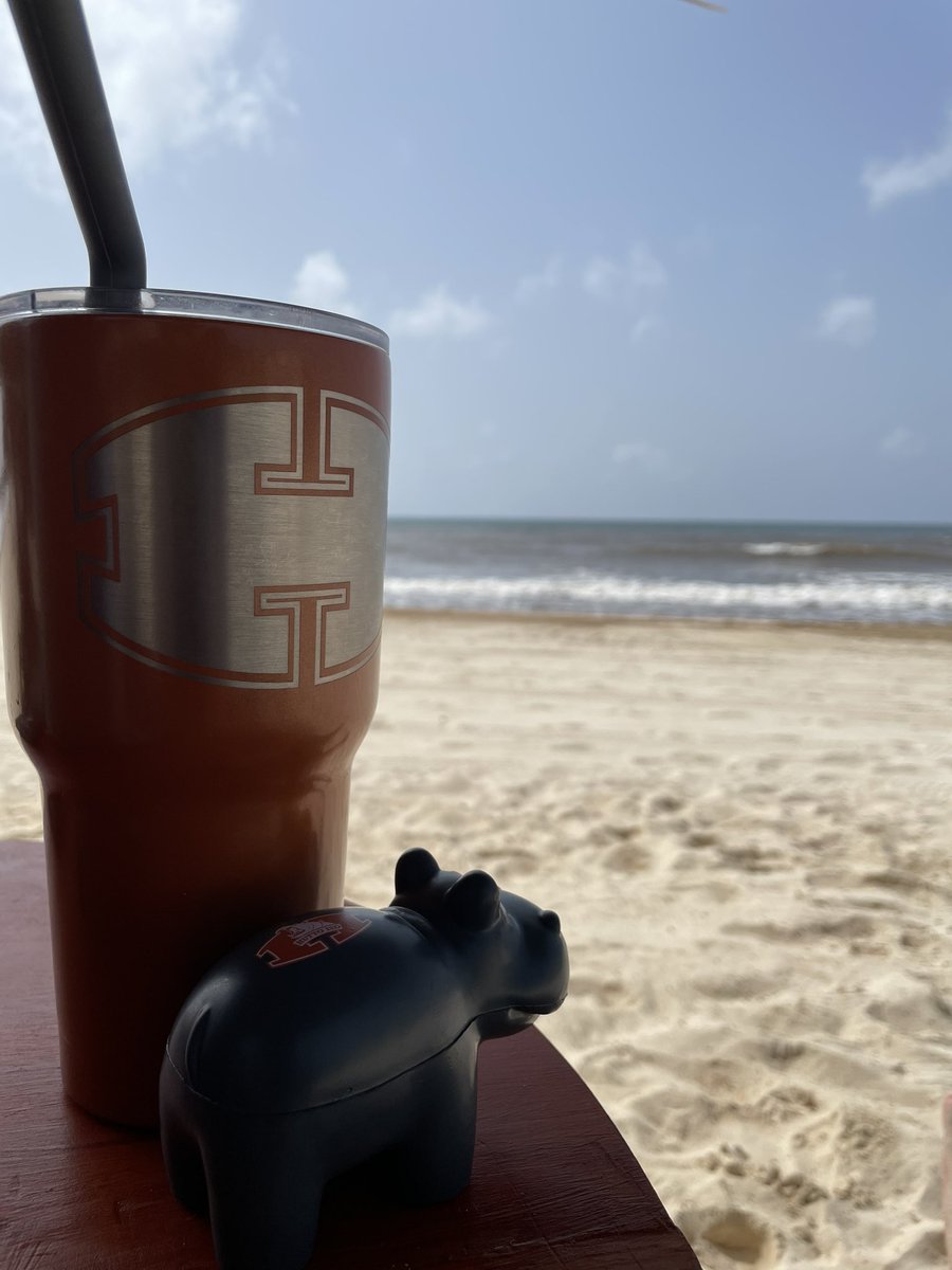 The beach life is great…even for a hippo!
#HippoNation