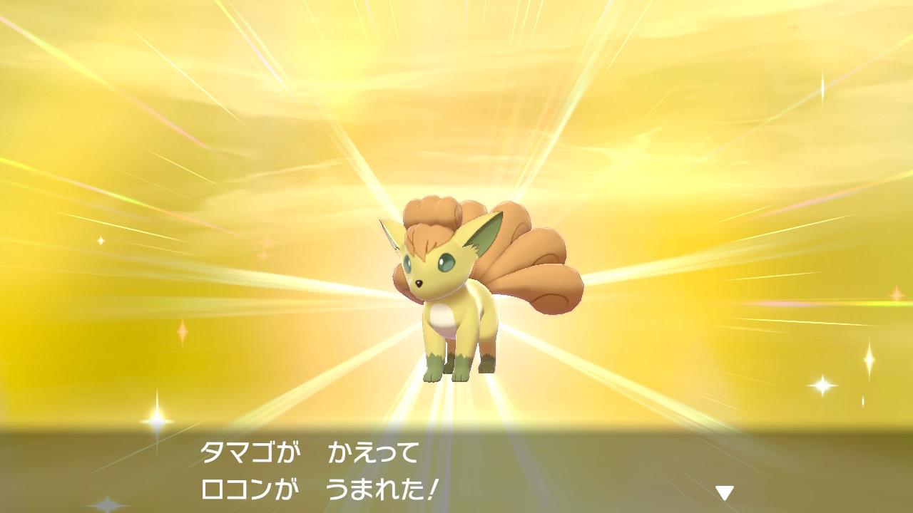 Lia ポケモン剣盾 Nintendoswitch ロコン キュウコン 色違いロコン キュウコンに進化してより美しくなったね T Co Cgsxuhojfx Twitter