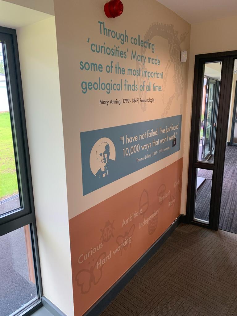 High Meadow Community School tweet media