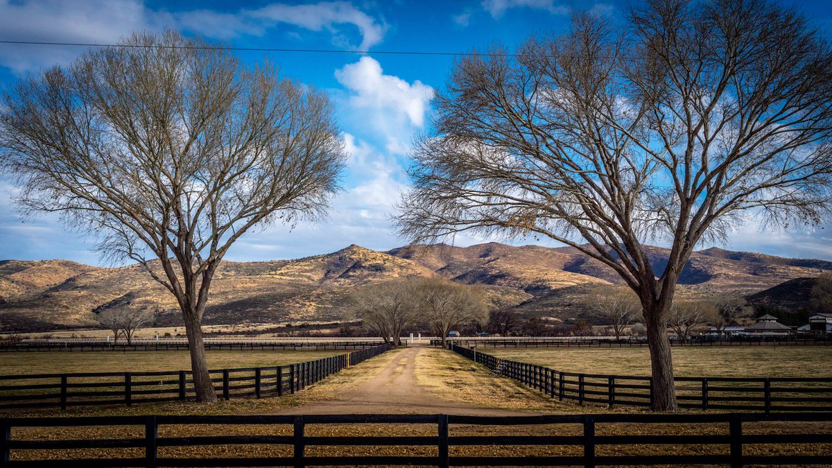 ✿°°•✿ Nina ✿•°°✿ tweet media