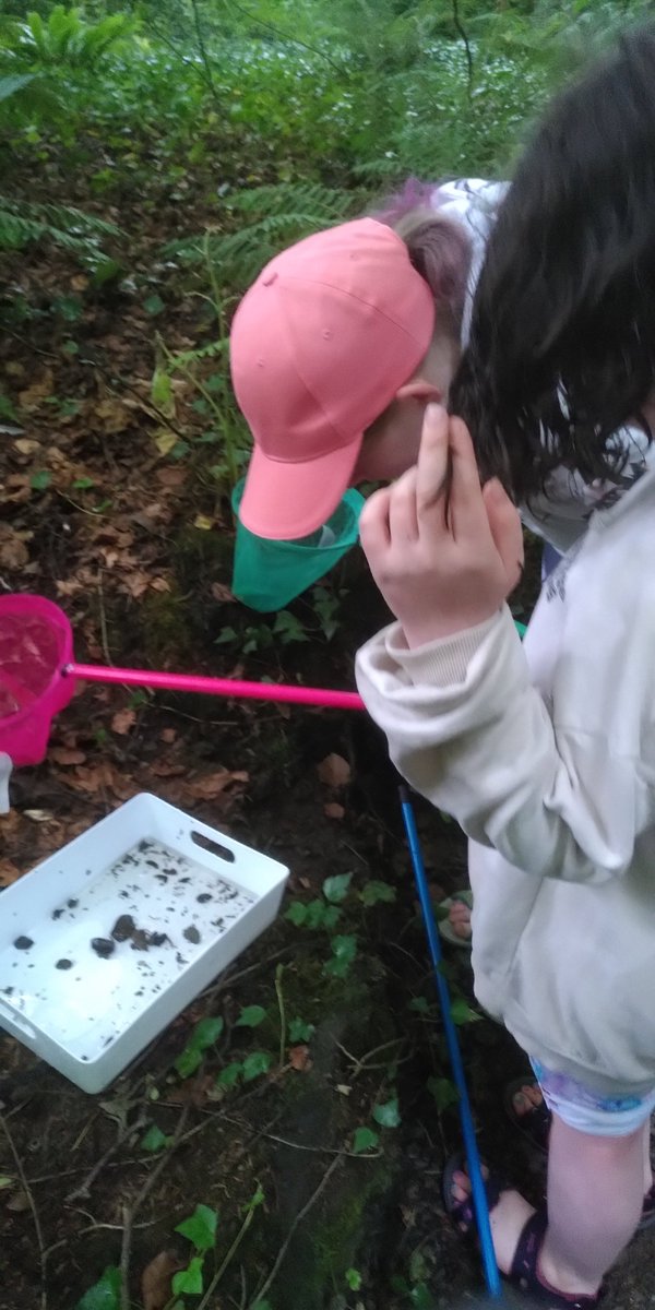 SchoolElements's tweet image. First summer school week done in beautiful #helensbay complete with some kick sampling of a river and some beach time.