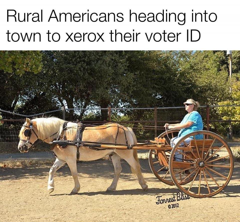 Degenerative Agriculture Advisor (@plsntvlyfarmer) on Twitter photo 