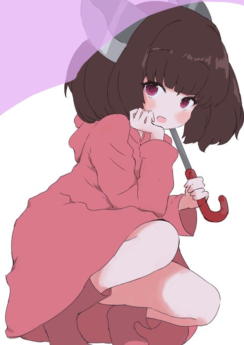 レインコートのきりたんたんたん 