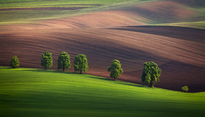 ✿°°•✿ Nina ✿•°°✿ tweet media